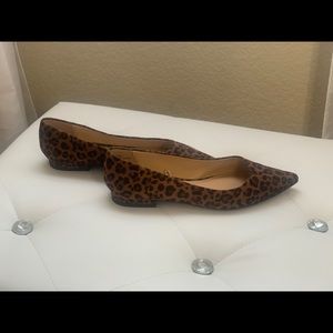 Leopard express flats